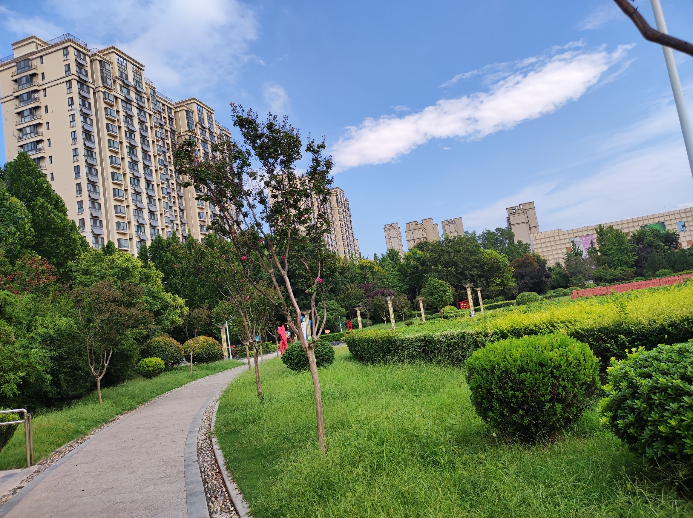 兖州市民公园旅行图片 3