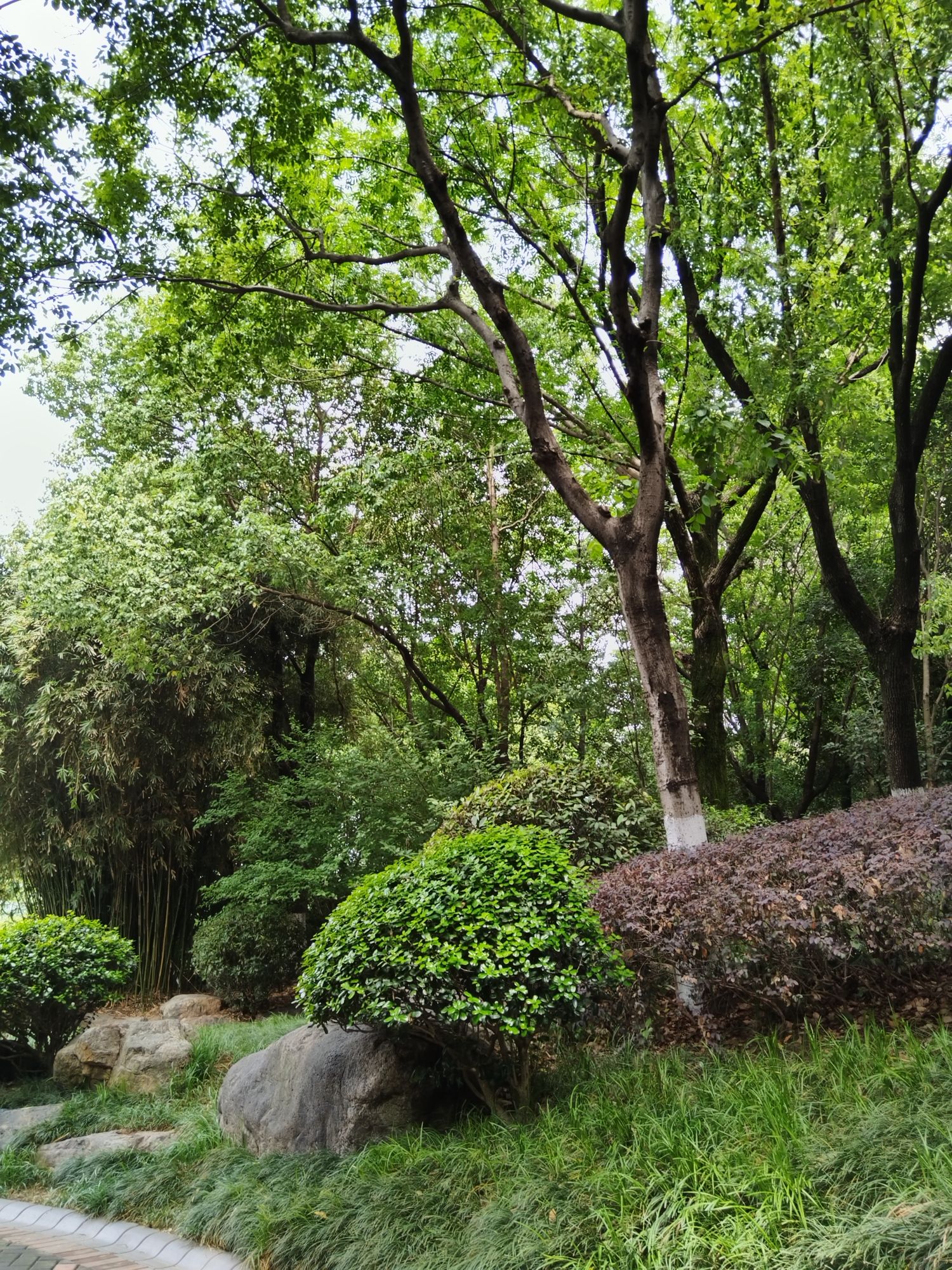 芜湖文化公园
