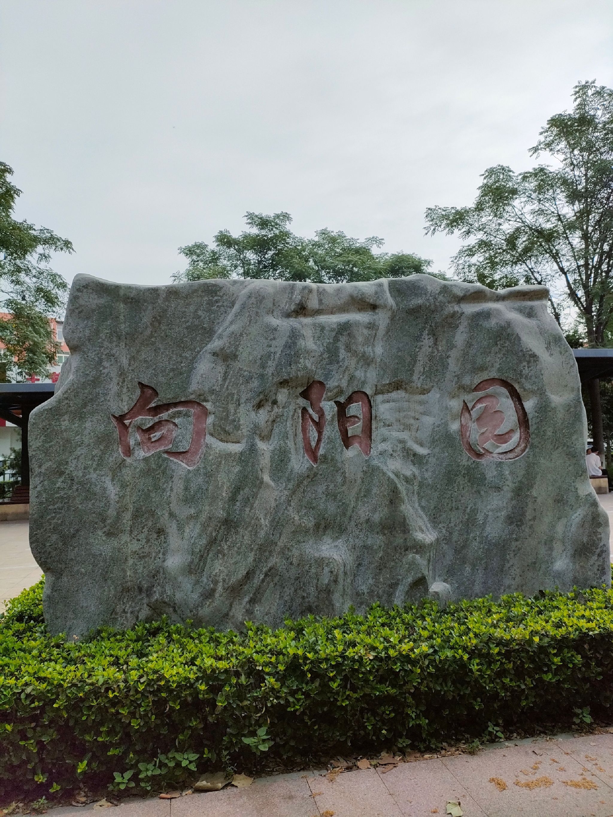 向阳园旅行图片 1