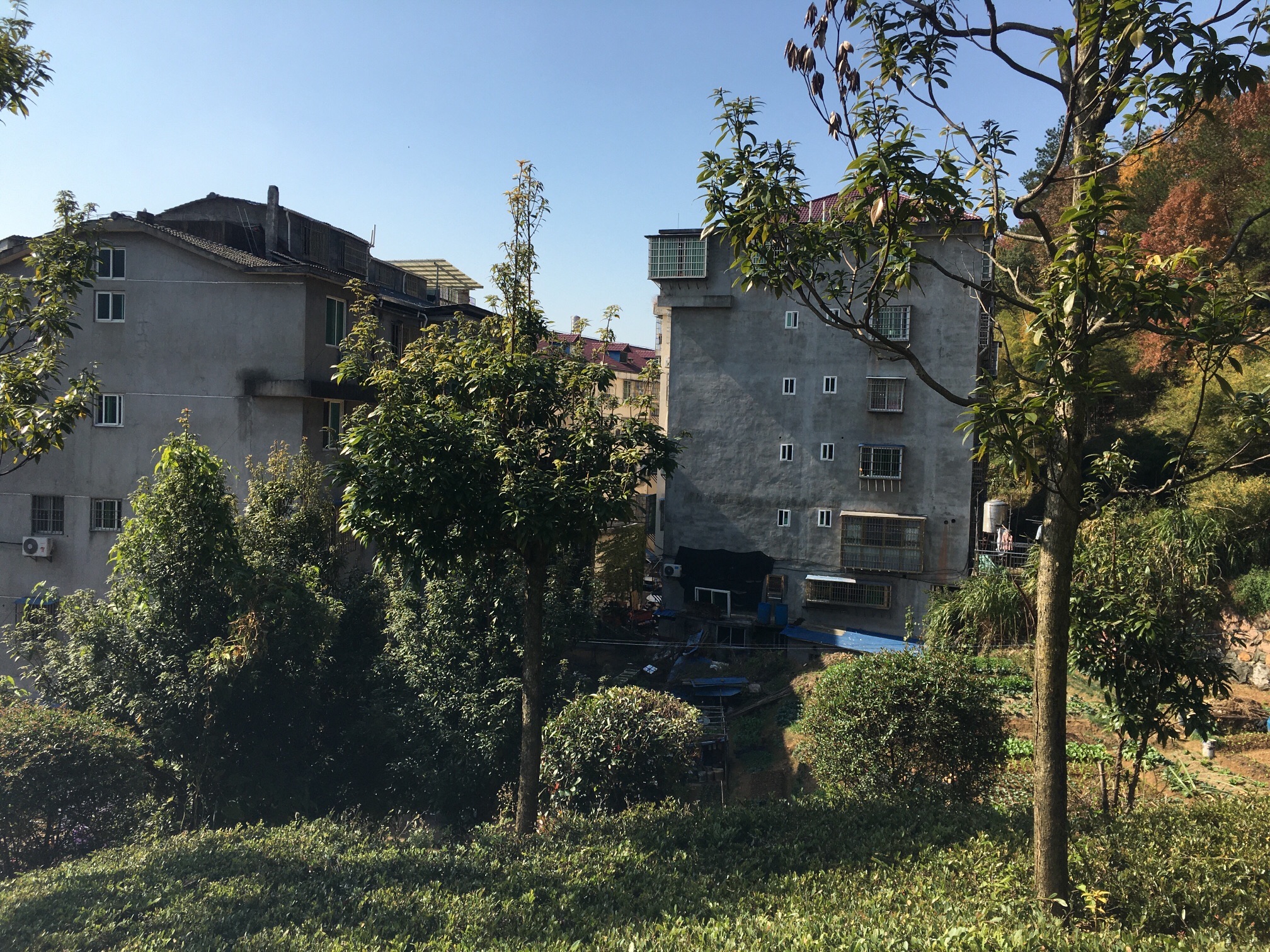 熊山公园旅行图片 3