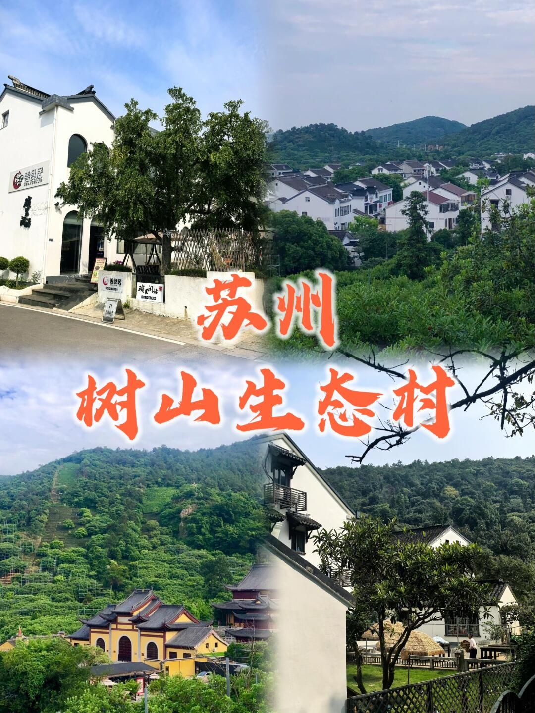 树山生态村旅行图片 1