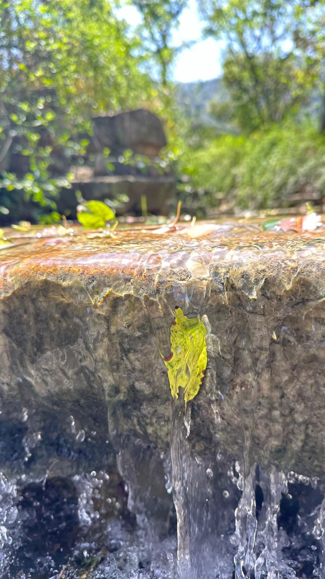 树山生态村旅行图片 3