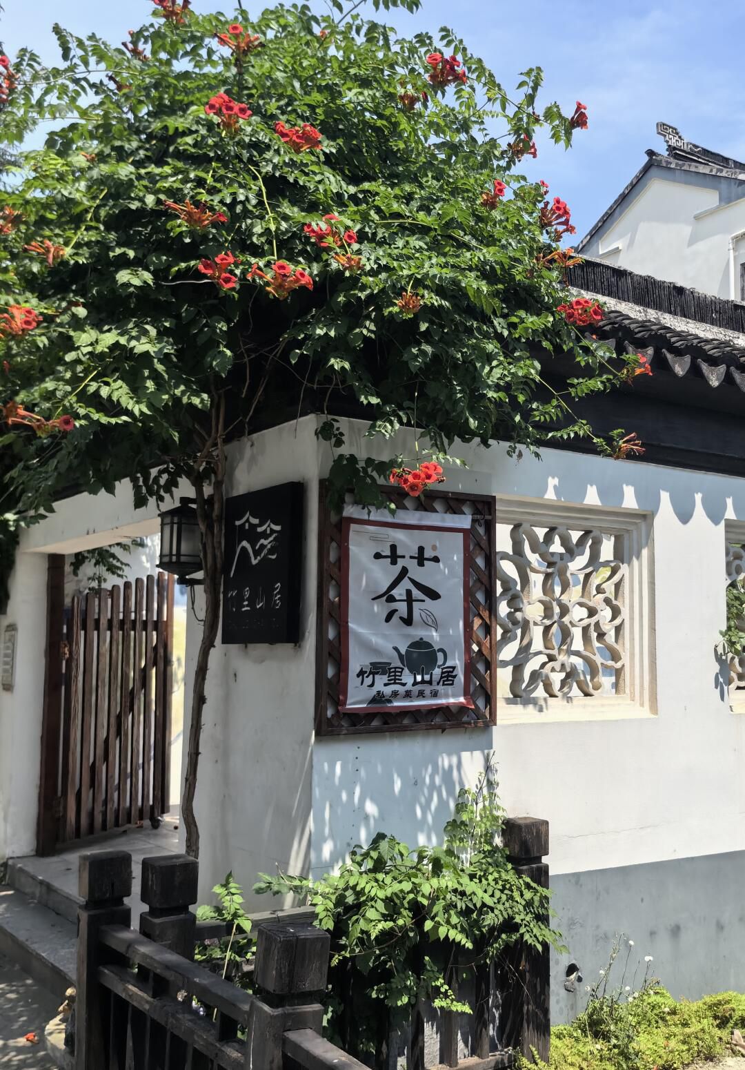 树山生态村旅行图片 1