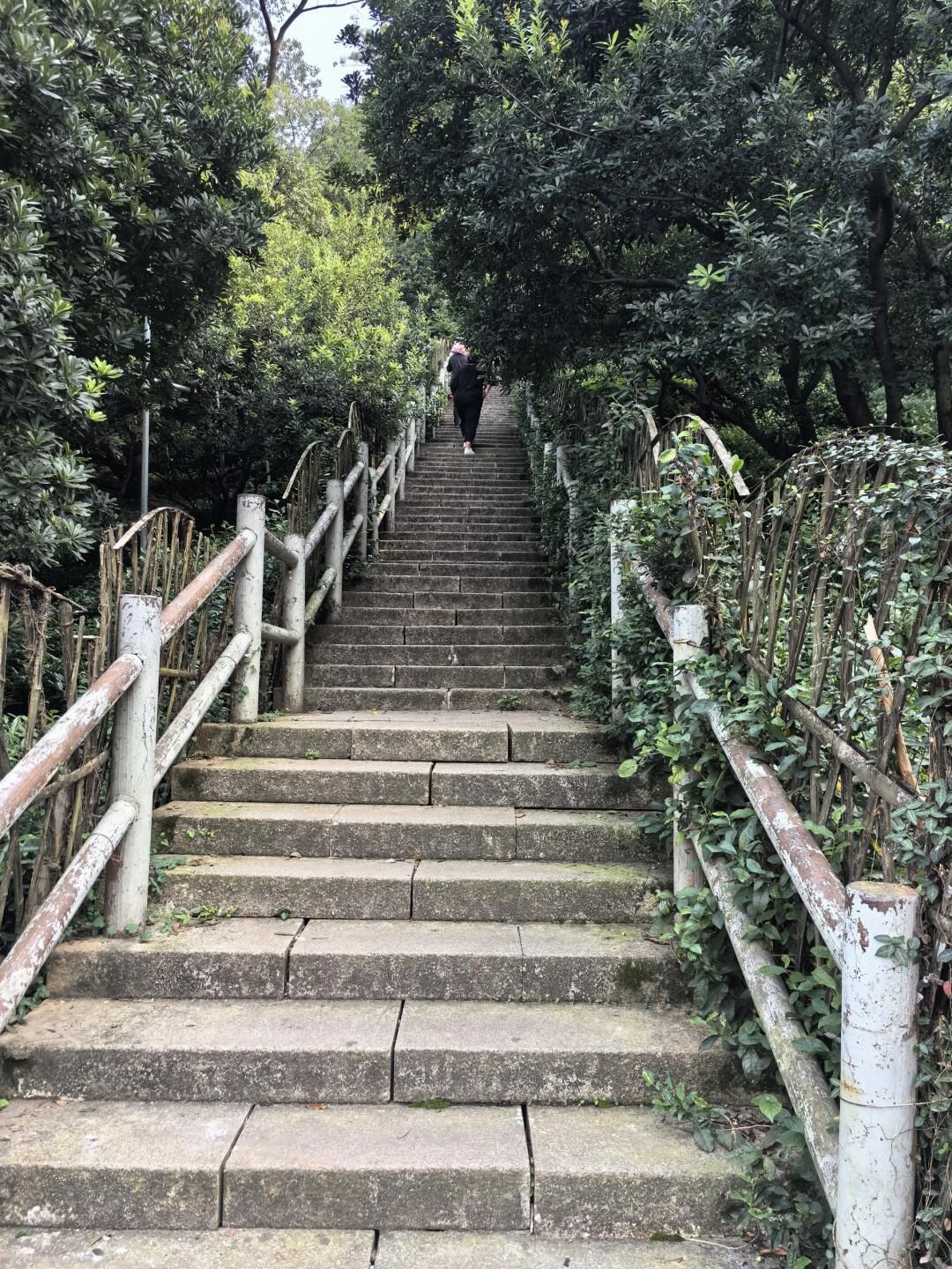 树山生态村旅行图片 1