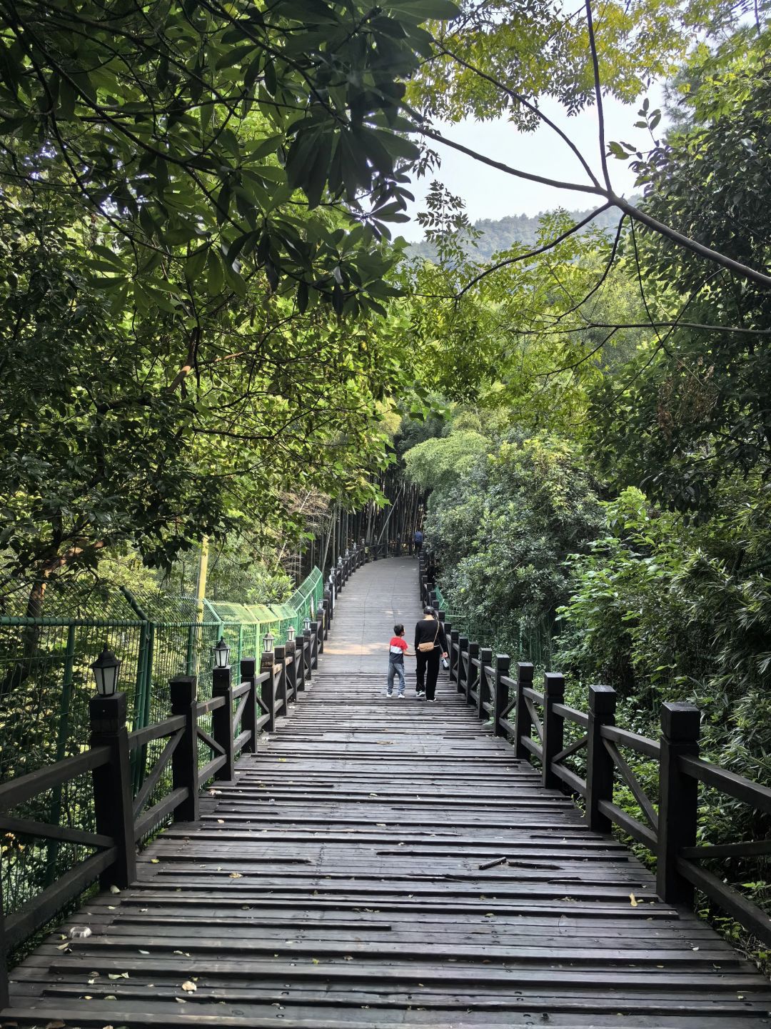树山生态村旅行图片 2