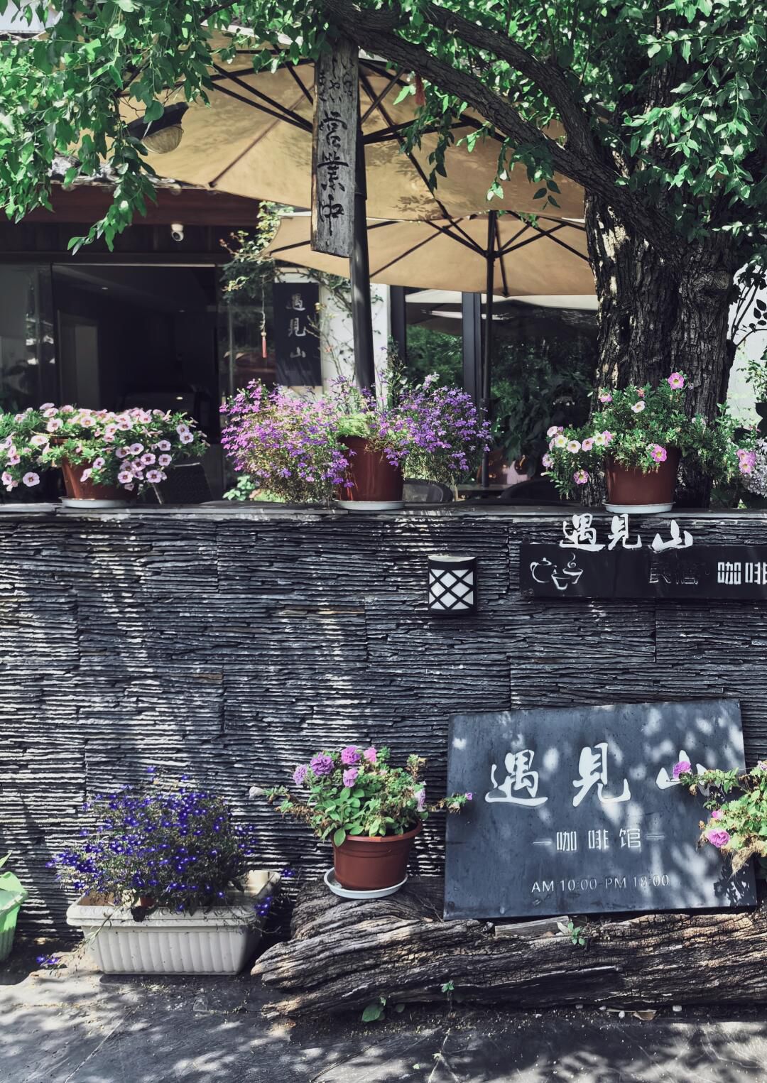 树山生态村旅行图片 3
