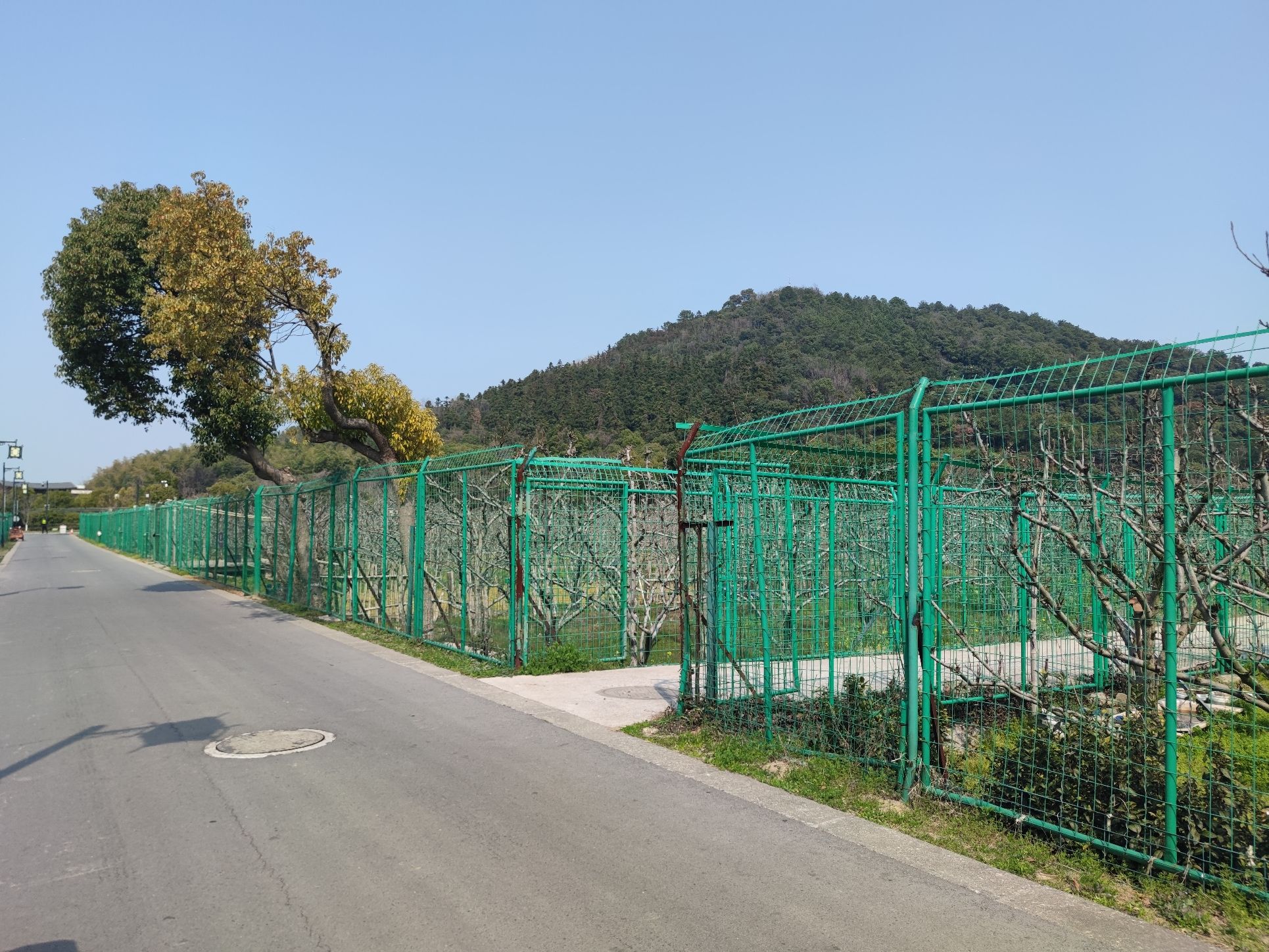 树山生态村旅行图片 1