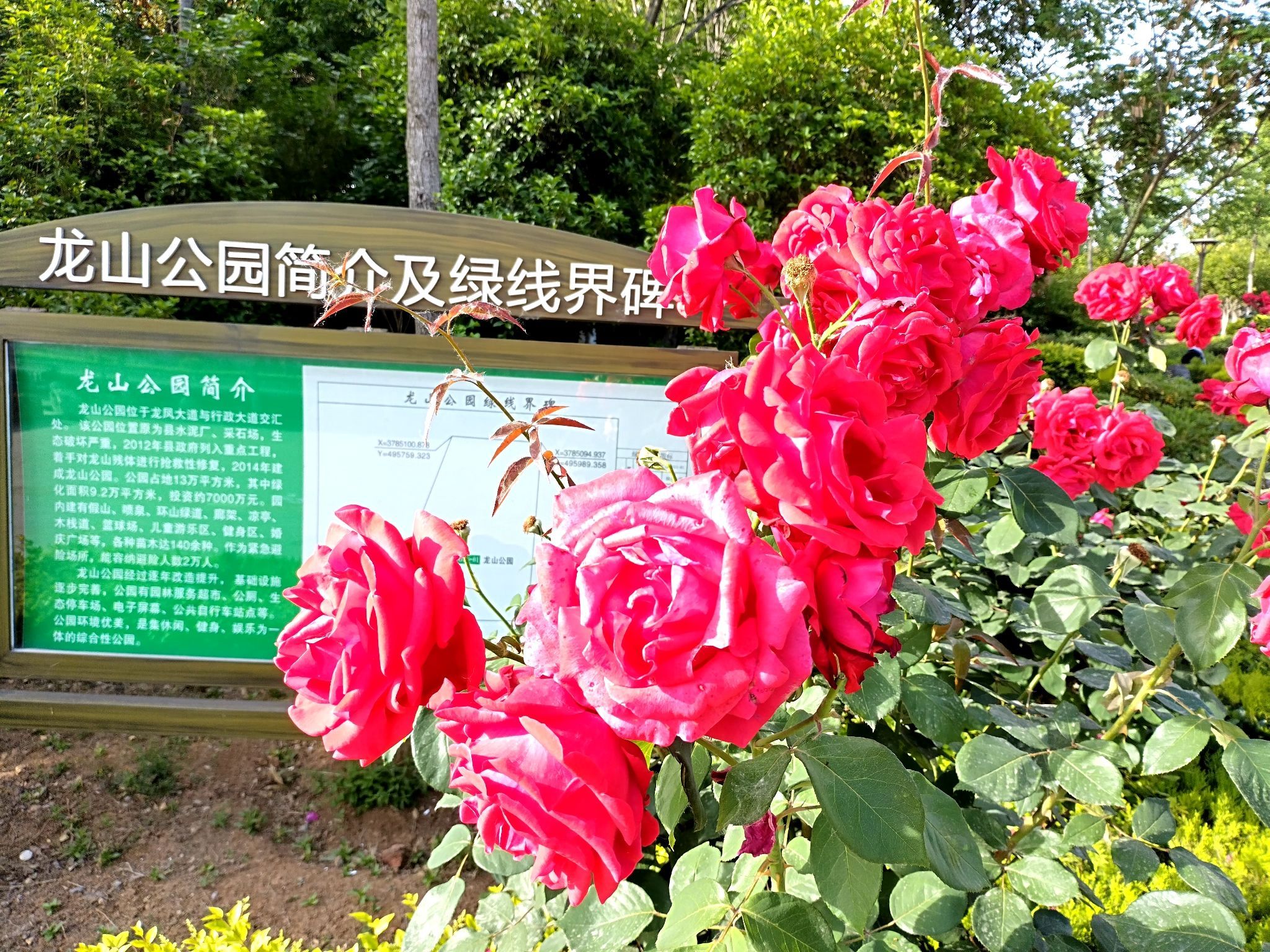 龙山公园旅行图片 1