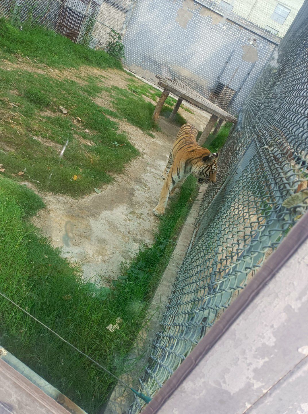 东京极地海洋馆-汴京公园动物园(暂停开放)旅行图片 2