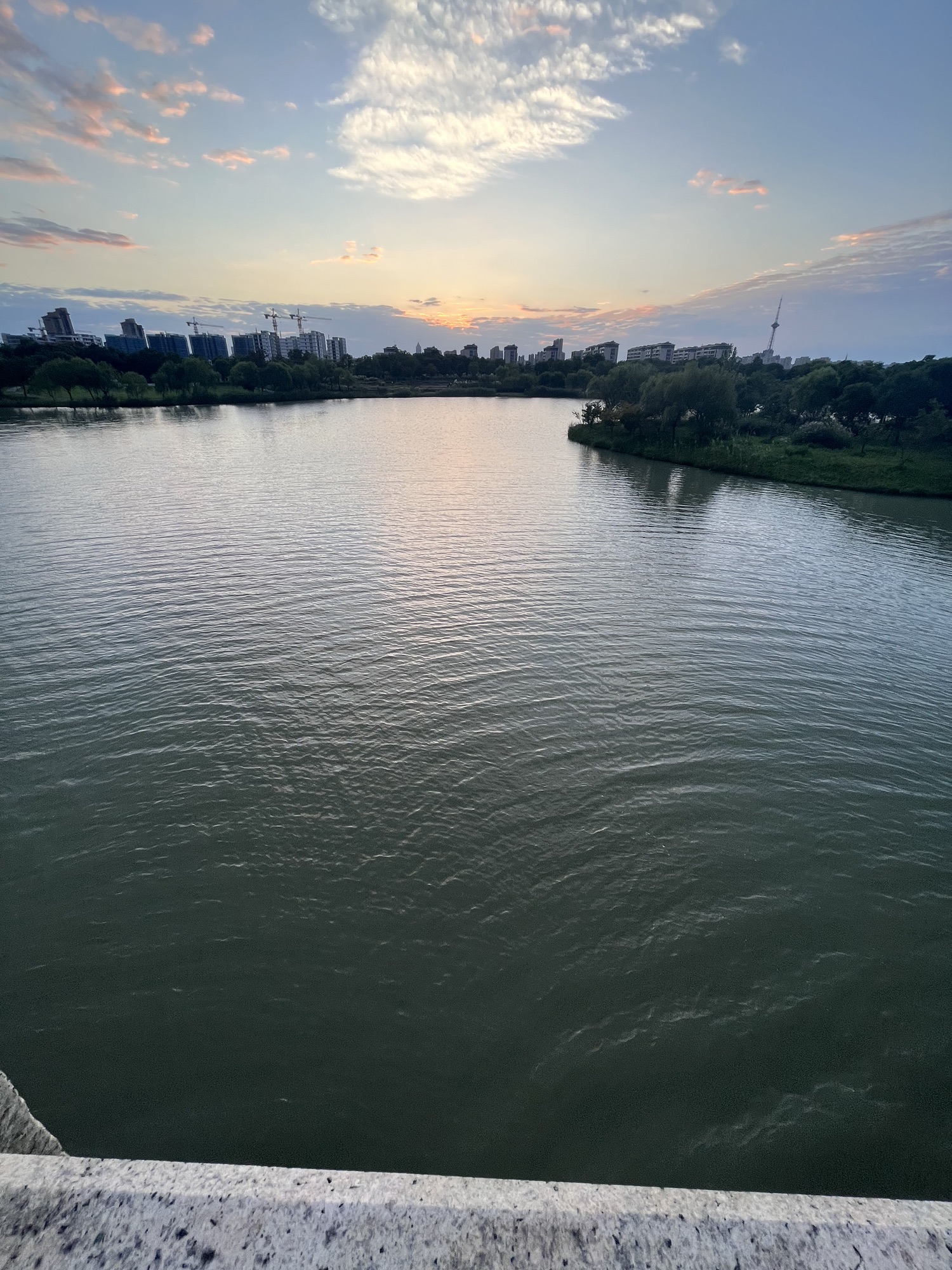 海宁鹃湖公园旅行图片 3