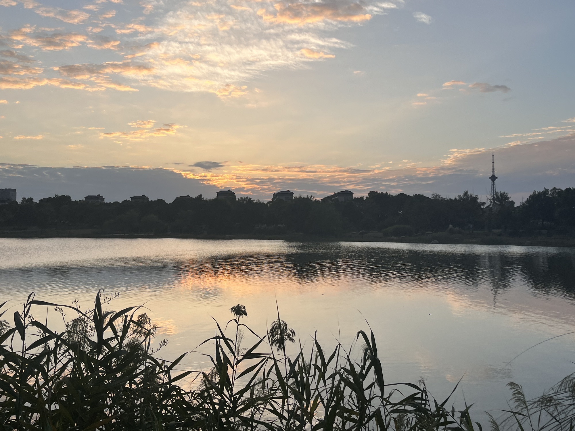 海宁鹃湖公园旅行图片 1