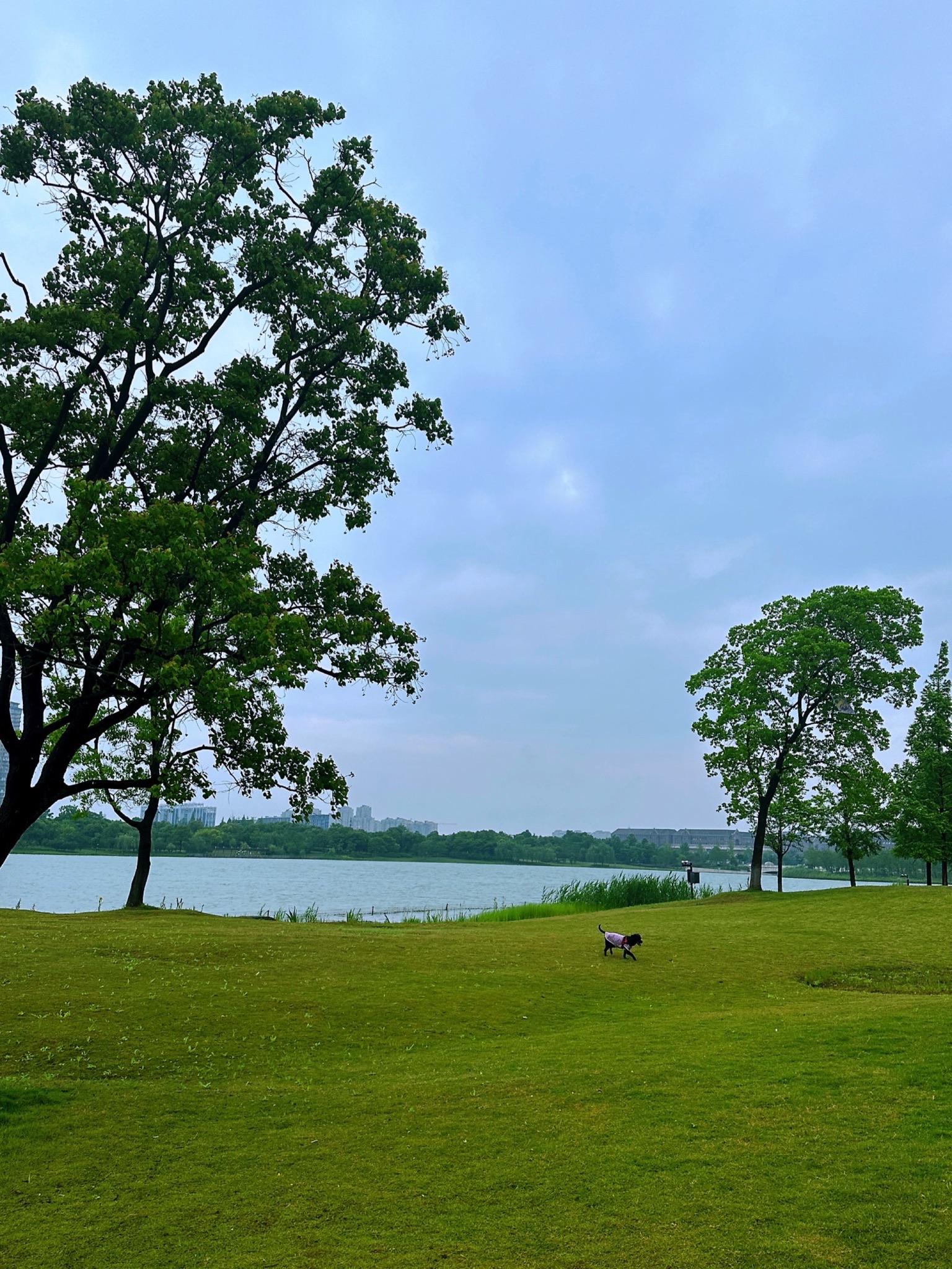 海宁鹃湖公园旅行图片 1
