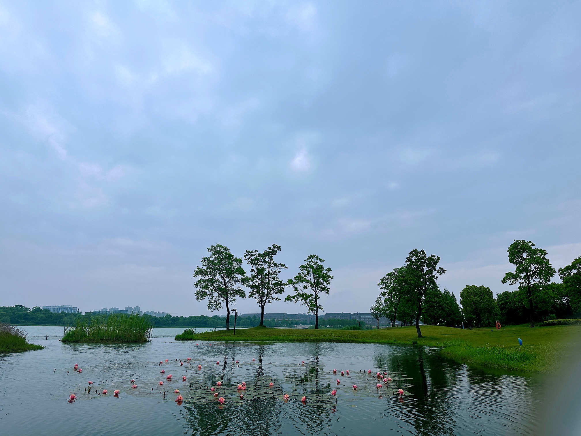 海宁鹃湖公园旅行图片 2