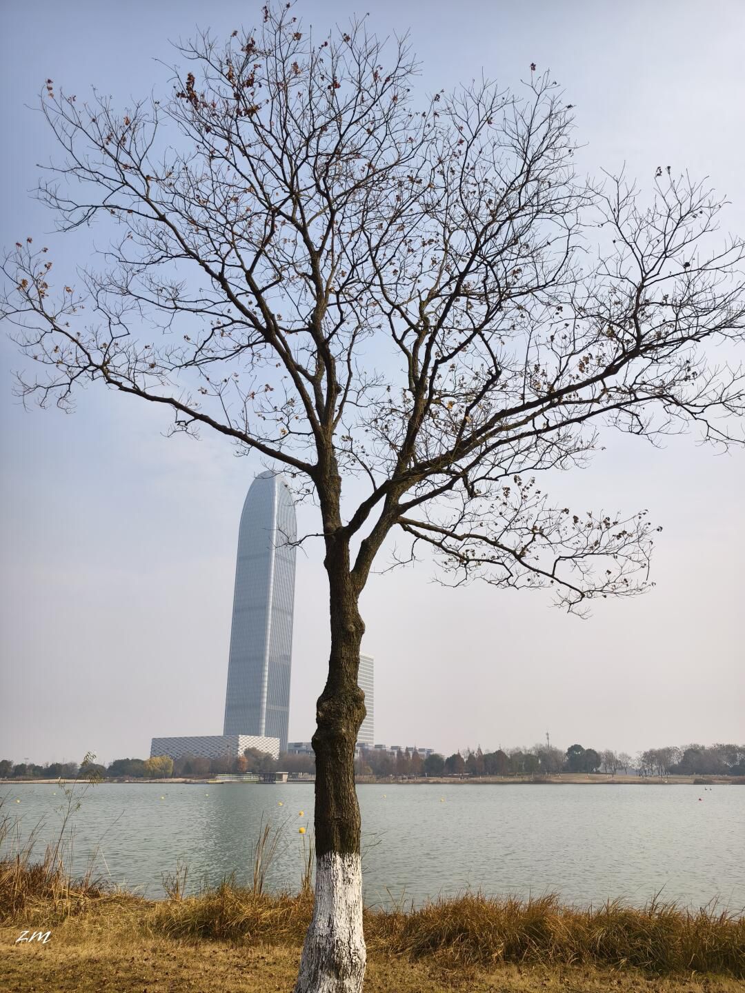 海宁鹃湖公园旅行图片 1