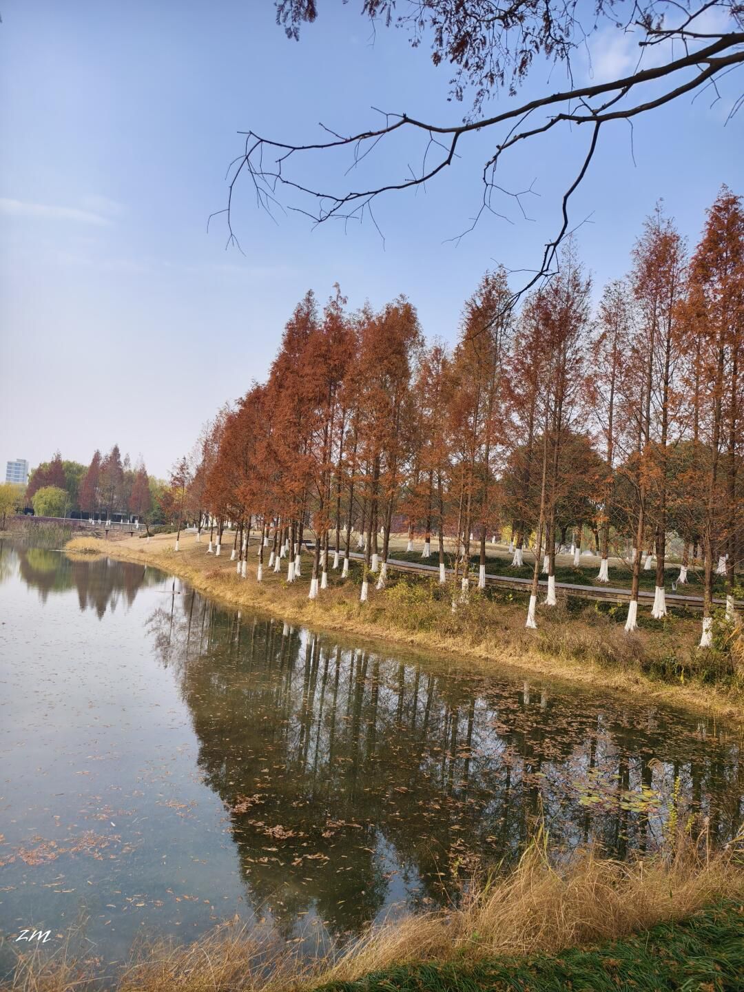 海宁鹃湖公园旅行图片 2
