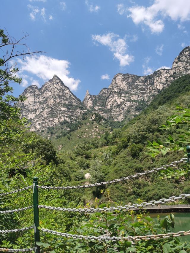 漫山花溪谷(暂停开放)旅行图片 2