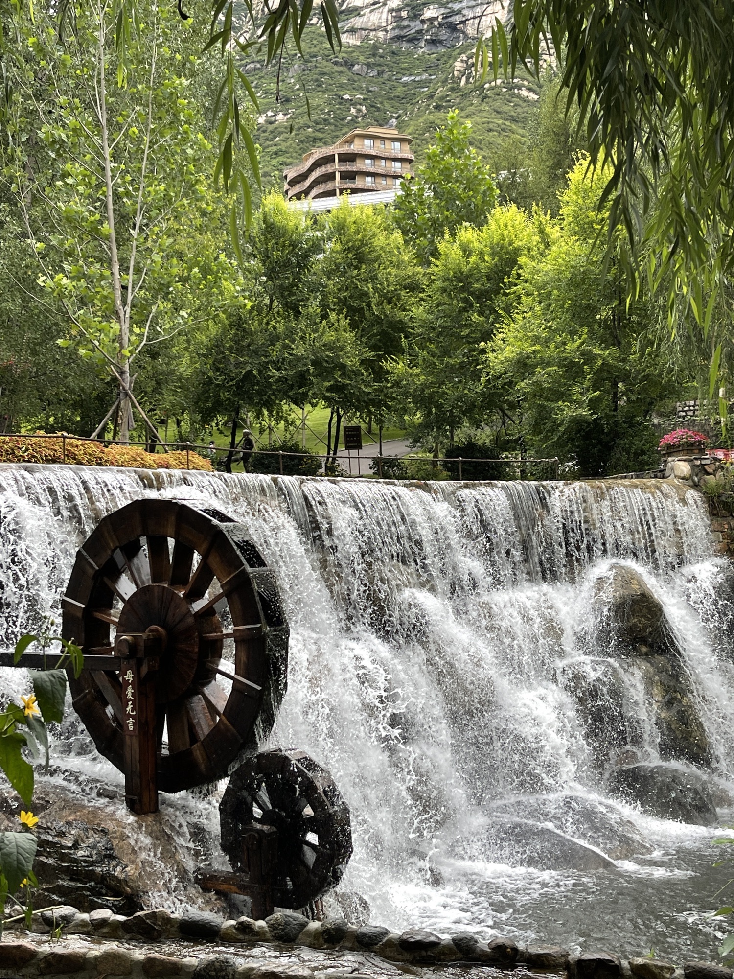 漫山花溪谷(暂停开放)旅行图片 3