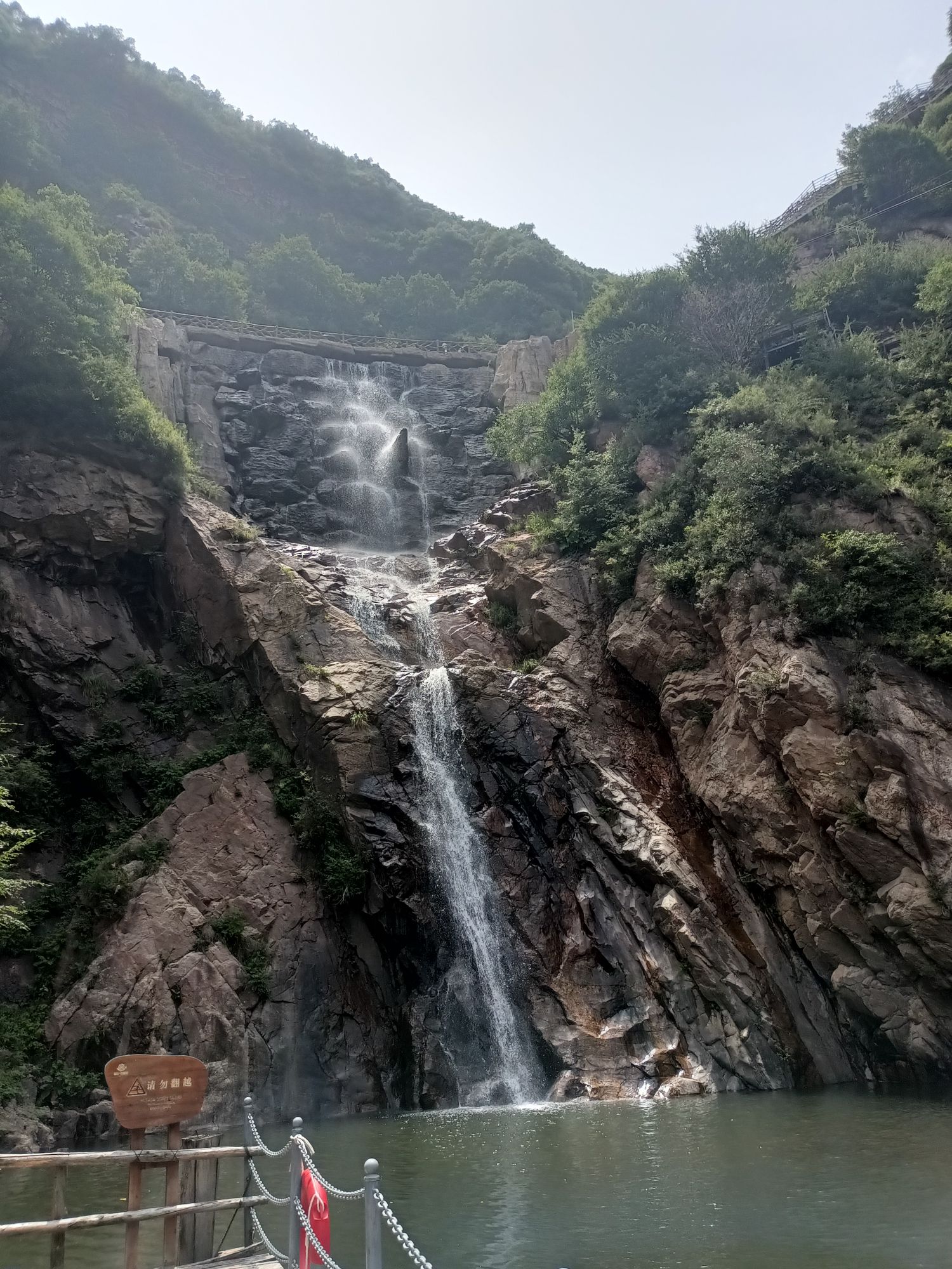 漫山花溪谷(暂停开放)旅行图片 1