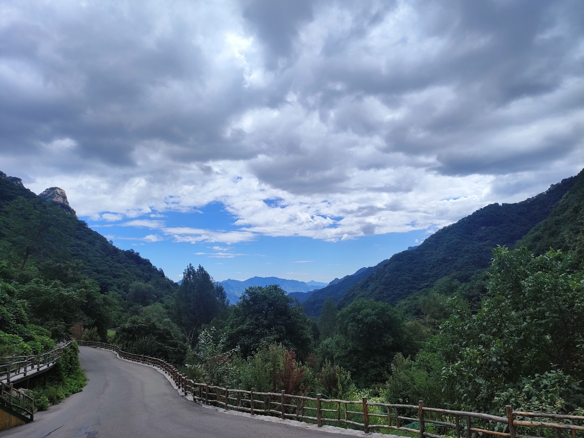漫山花溪谷(暂停开放)旅行图片 3