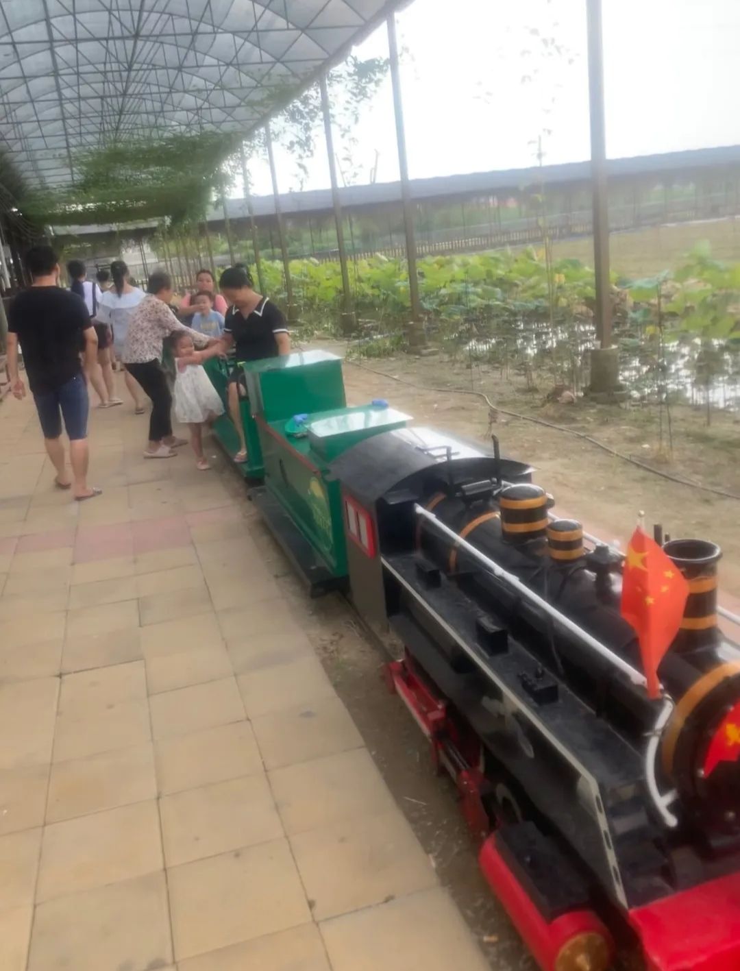 流溪湾丰华园旅行图片 2