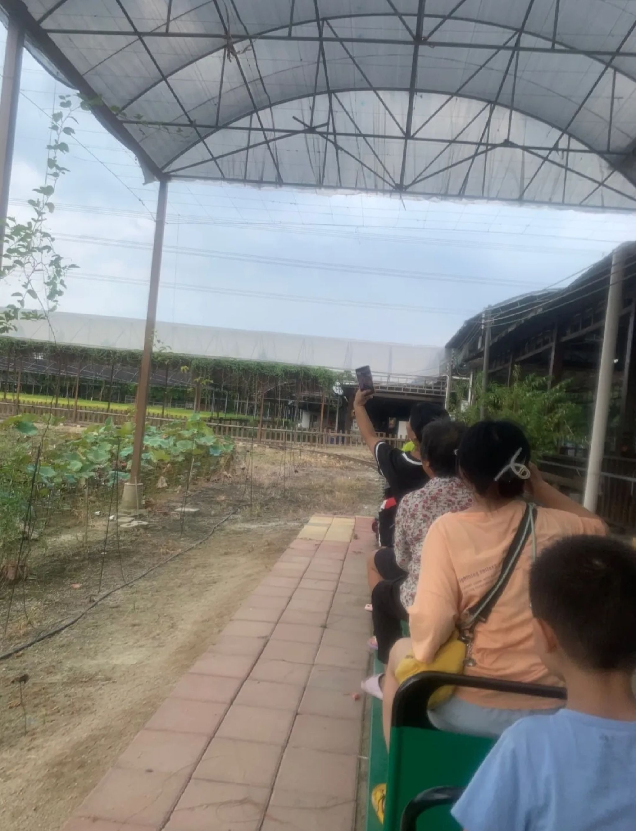 流溪湾丰华园旅行图片 1