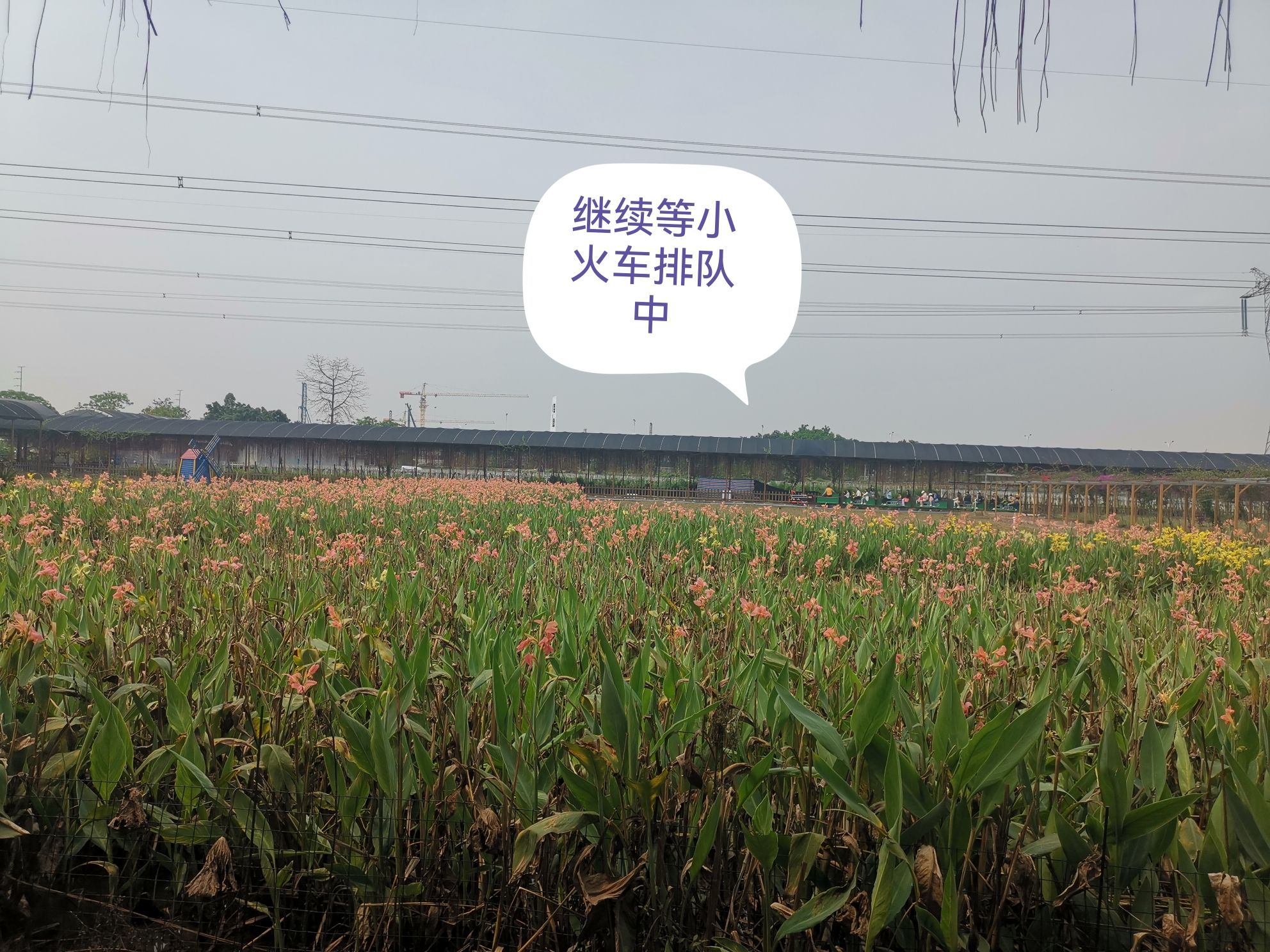 流溪湾丰华园旅行图片 2