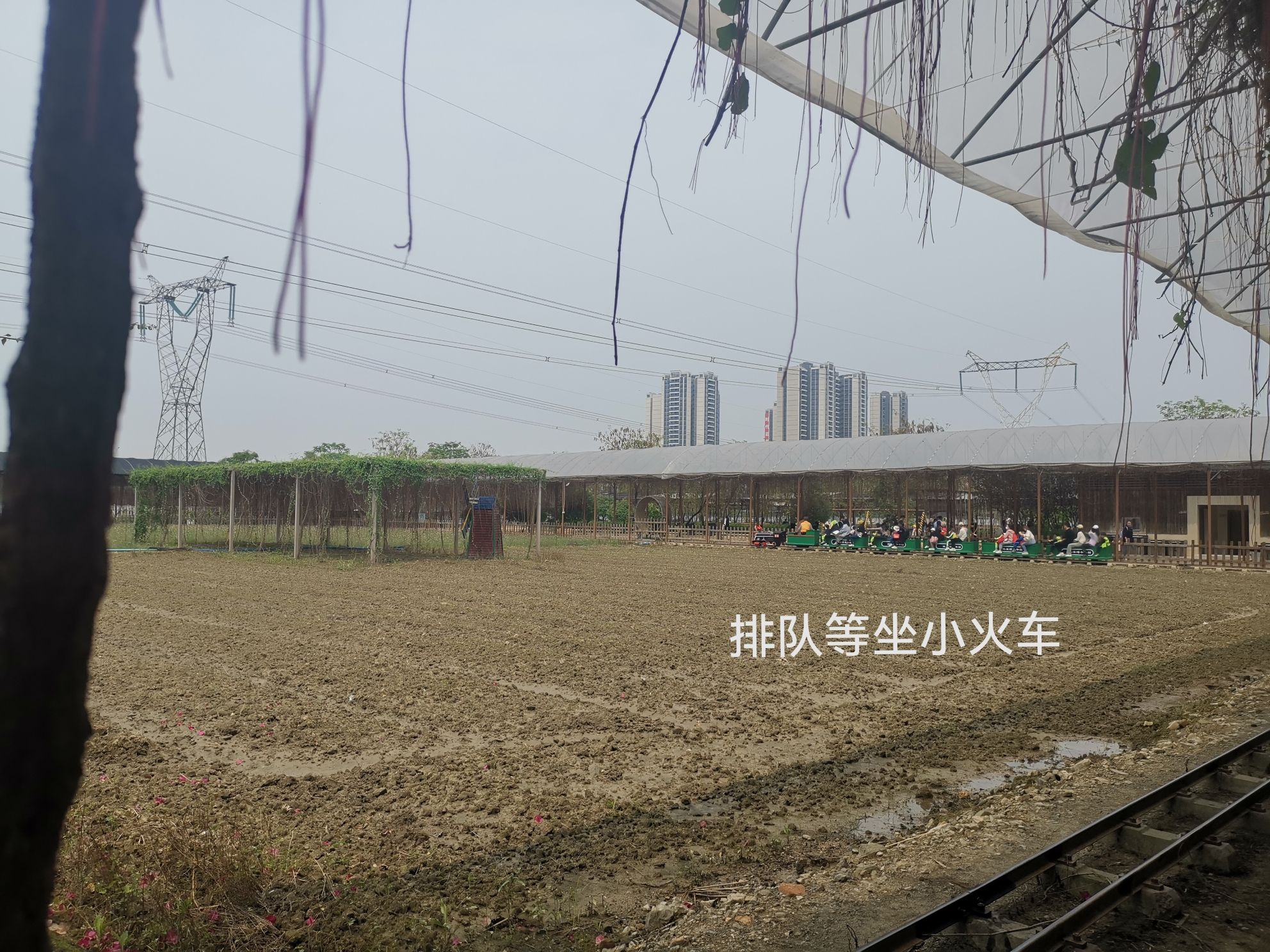 流溪湾丰华园旅行图片 3