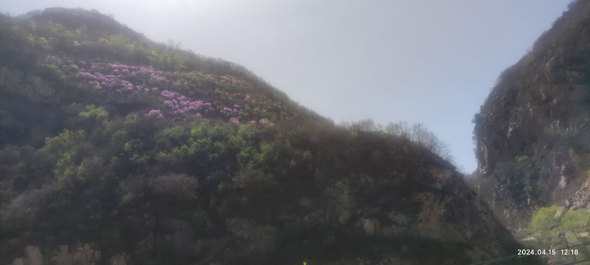 黄粱根映山红峡谷旅行图片 1