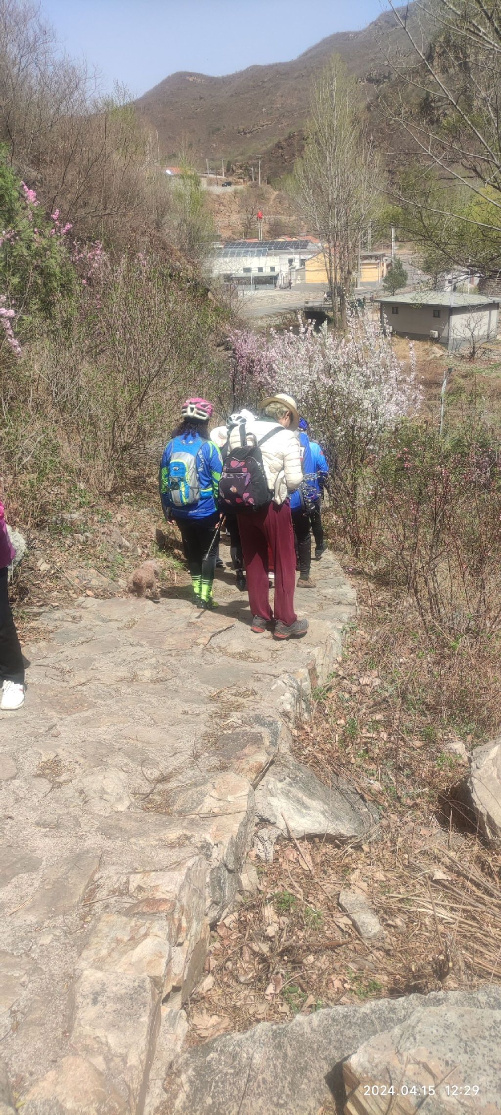 黄粱根映山红峡谷旅行图片 3