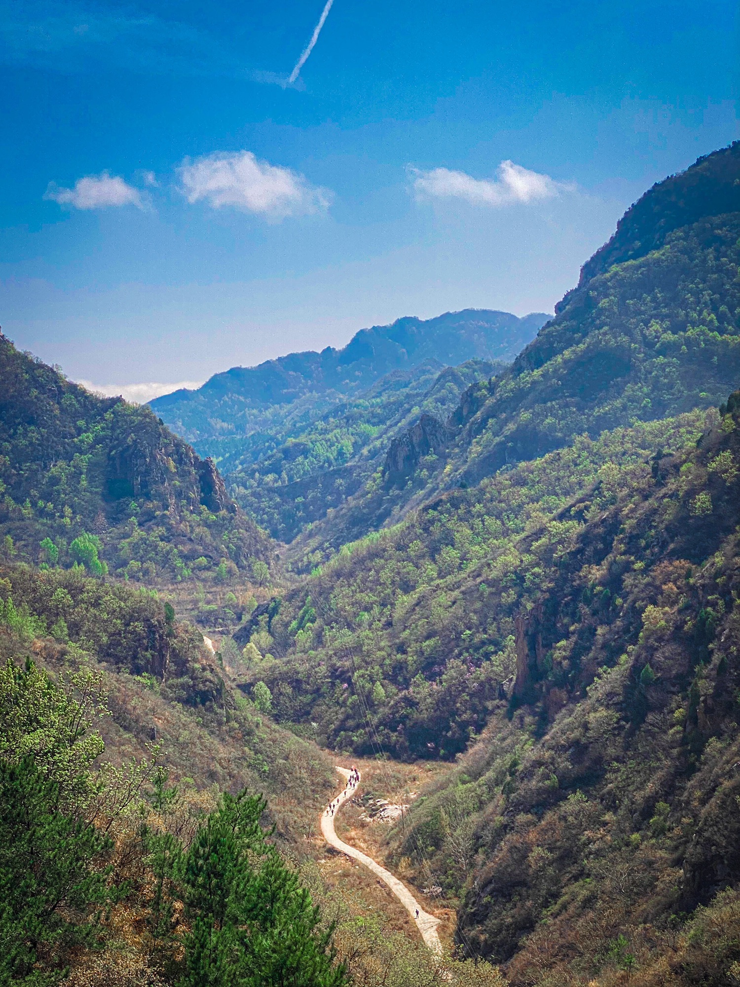 黄粱根映山红峡谷旅行图片 1