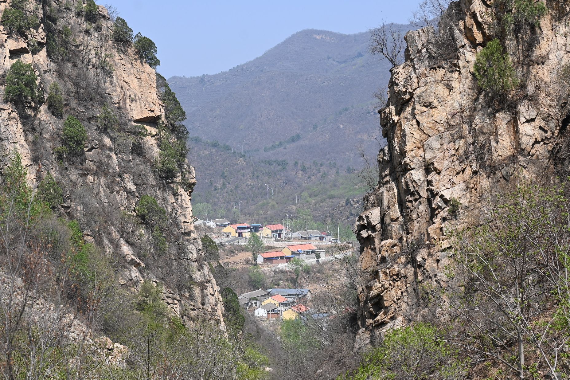 黄粱根映山红峡谷旅行图片 3