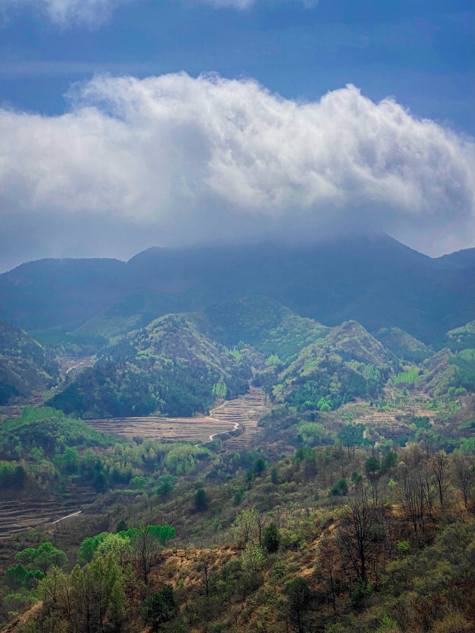黄粱根映山红峡谷旅行图片 3