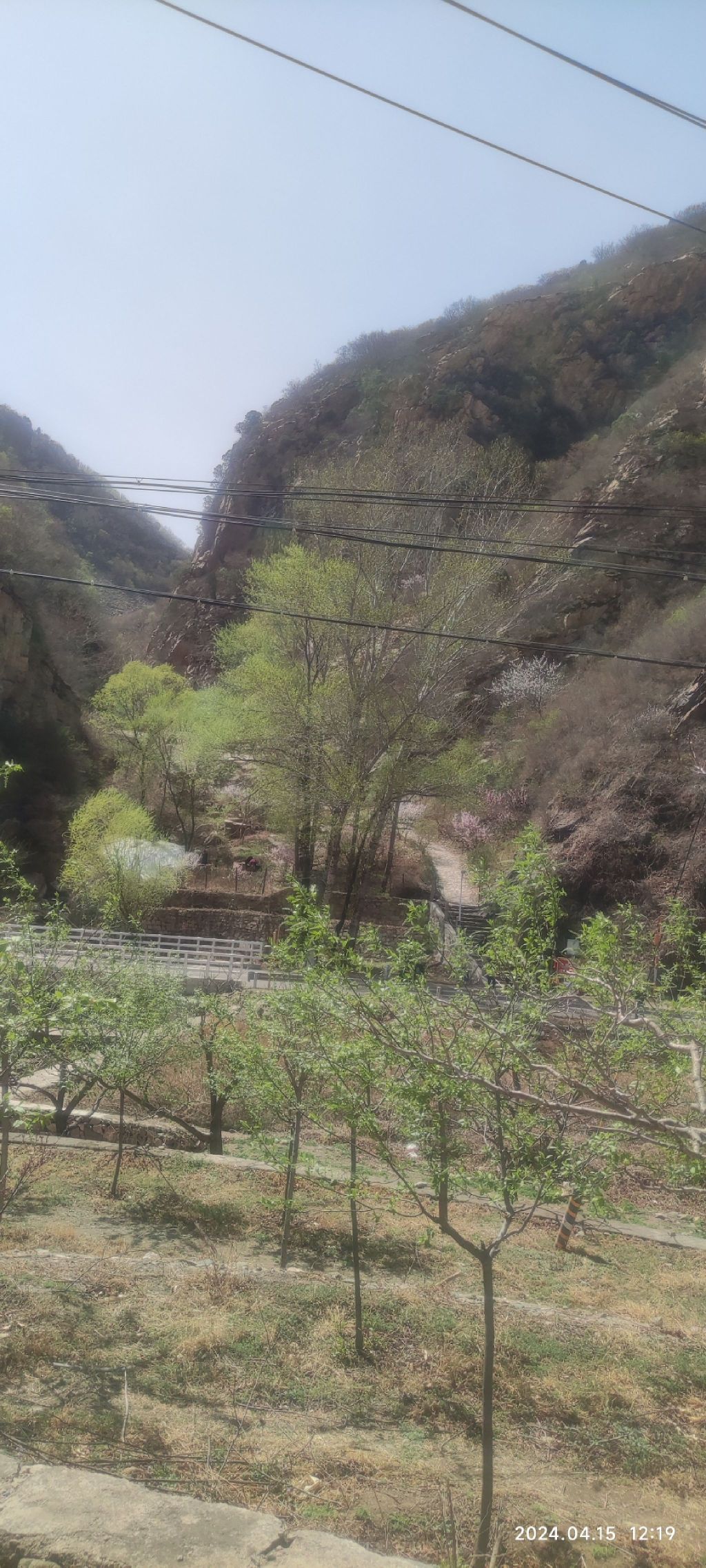 黄粱根映山红峡谷旅行图片 2