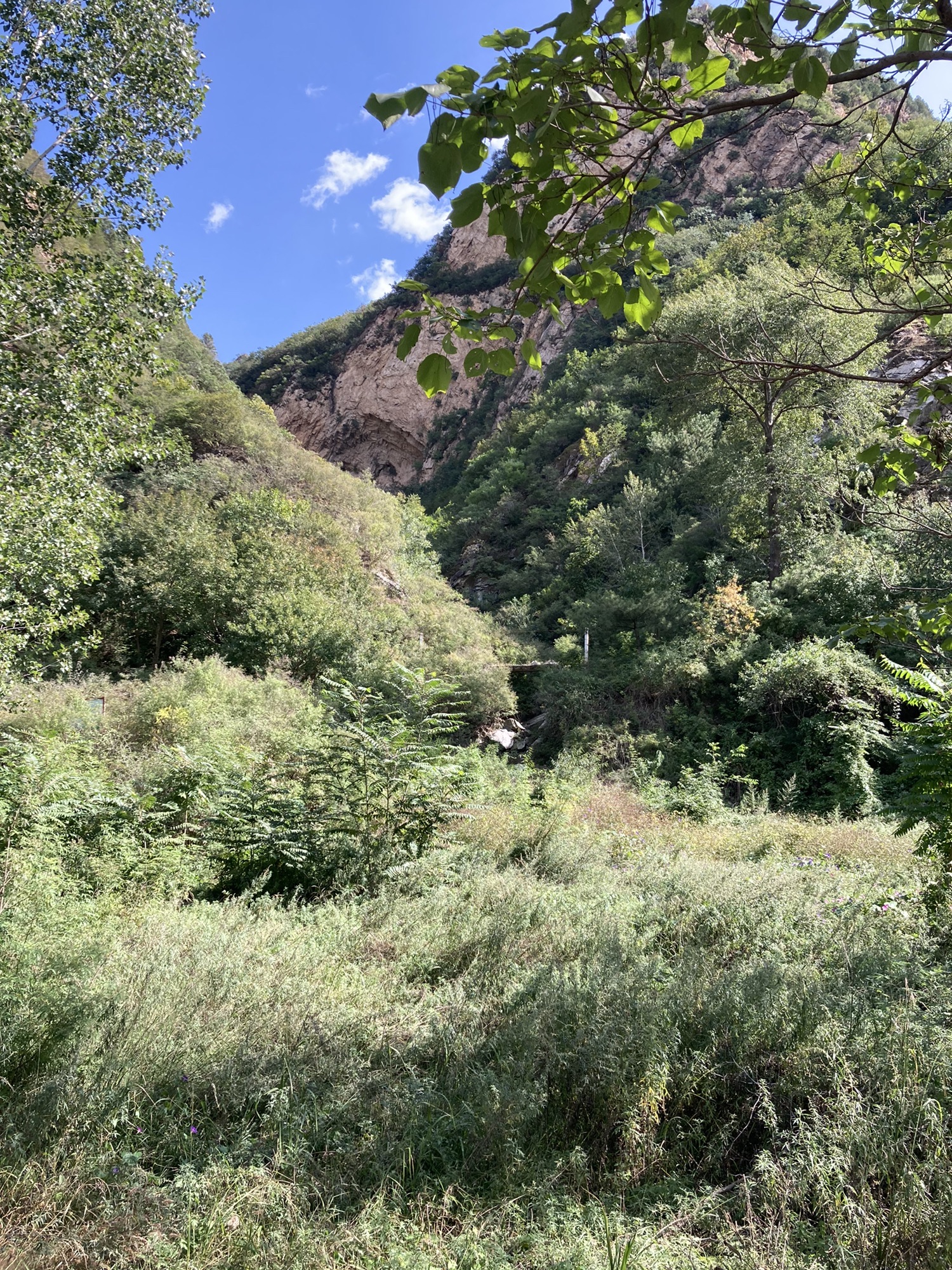 白马关古城堡旅行图片 2