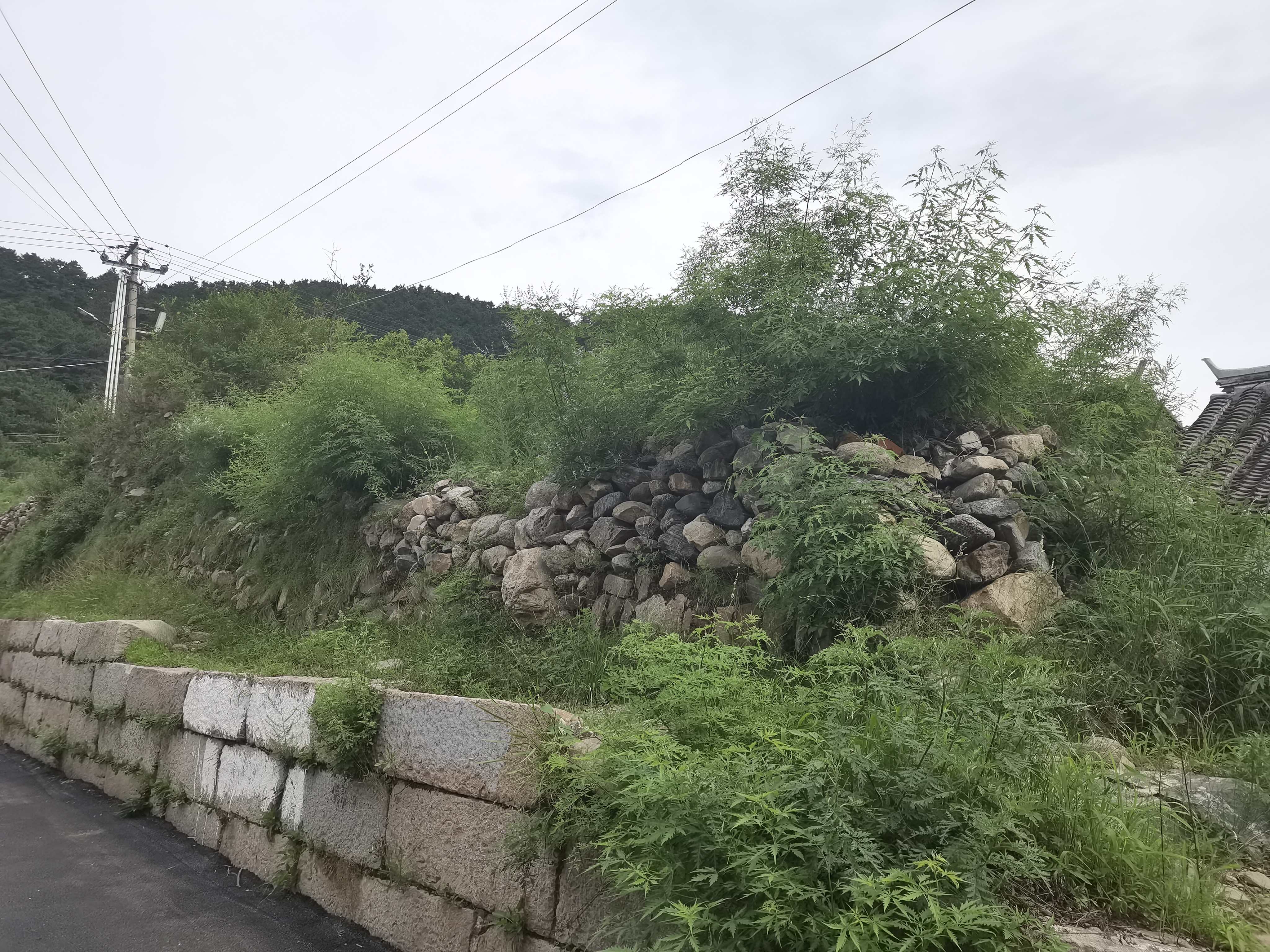 白马关古城堡旅行图片 3
