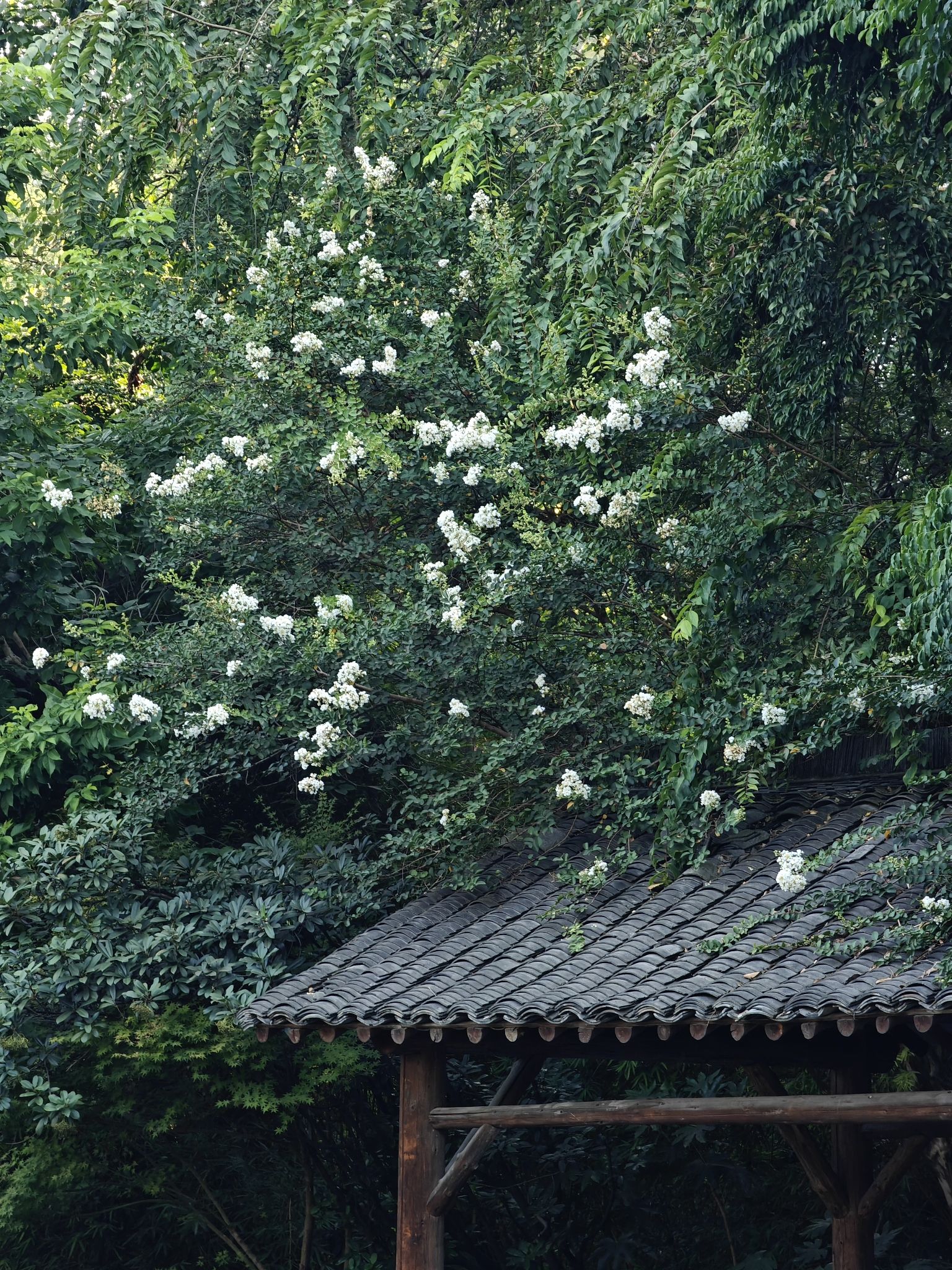 龙透关公园旅行图片 2