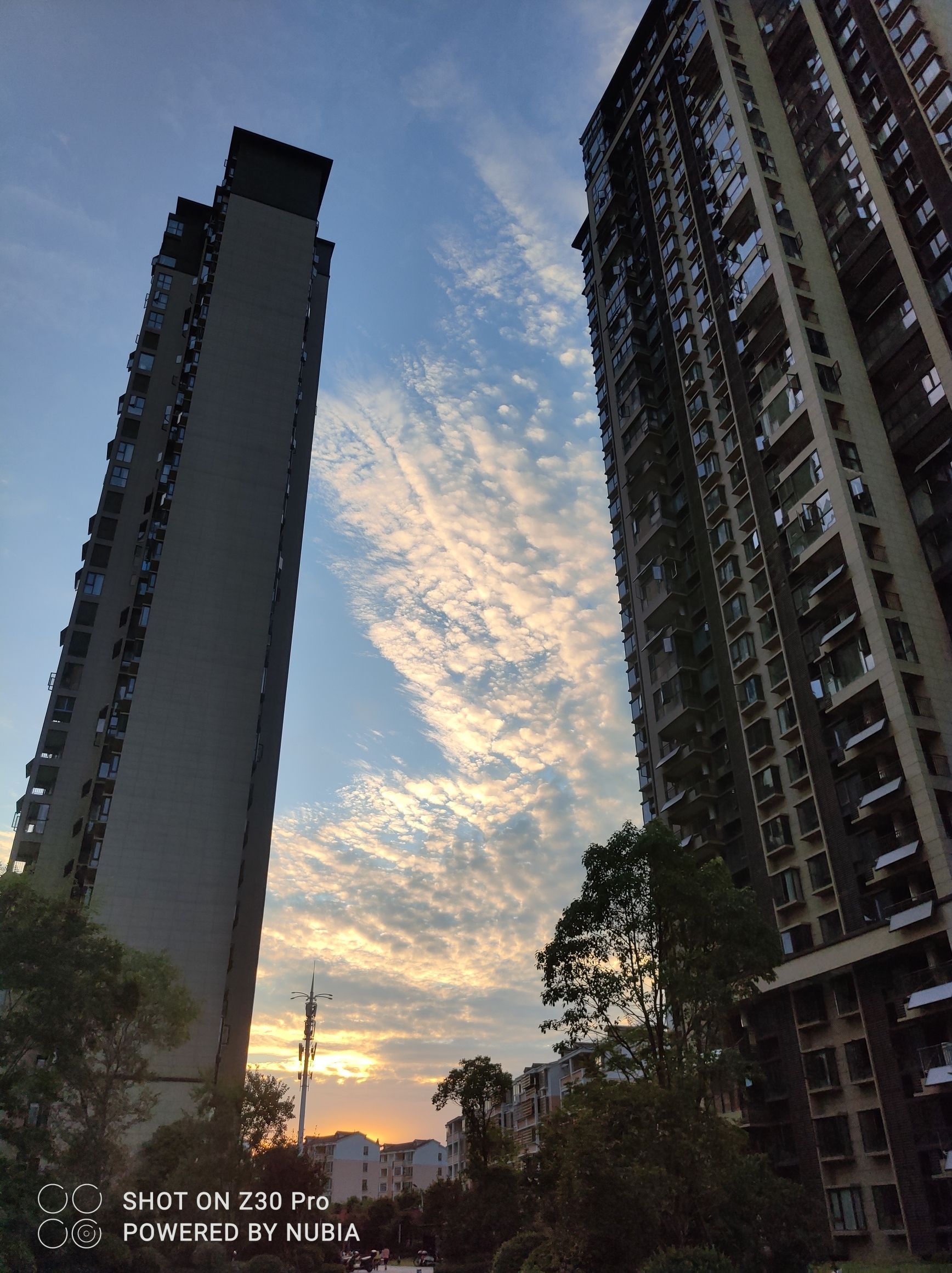 东湖公园旅行图片 2