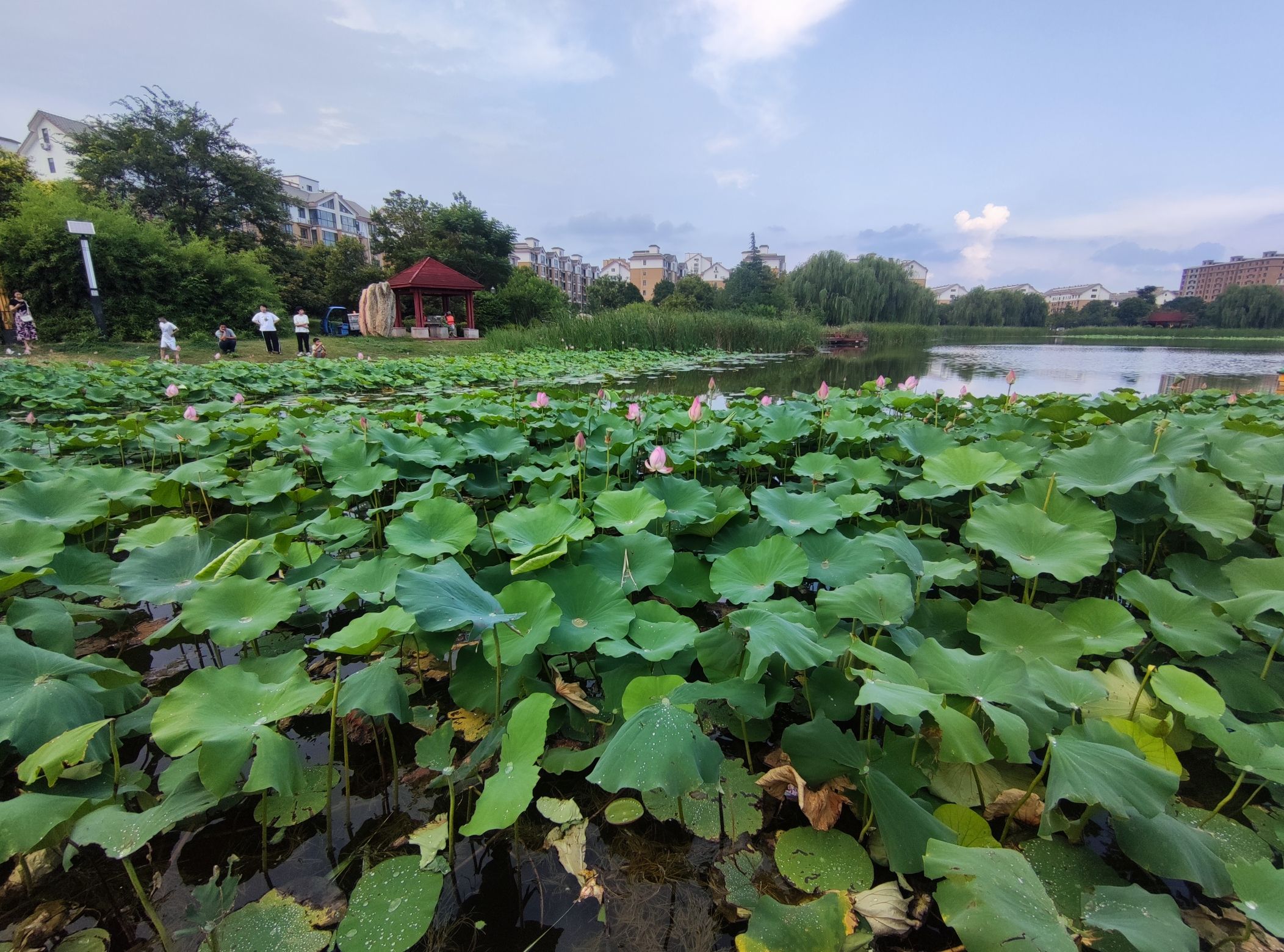 东湖公园旅行图片 3