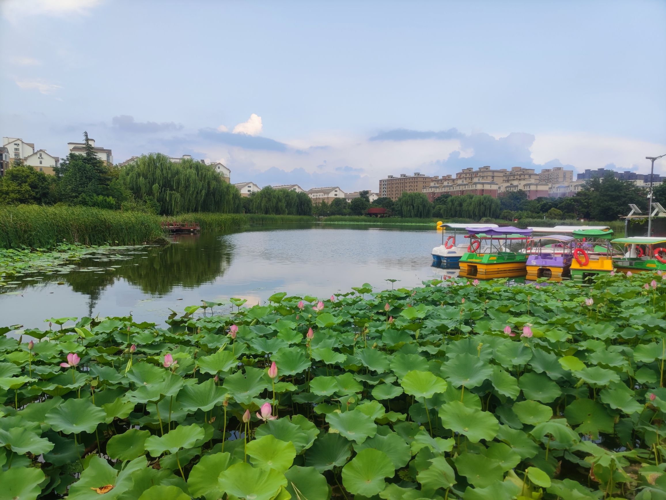 东湖公园旅行图片 2