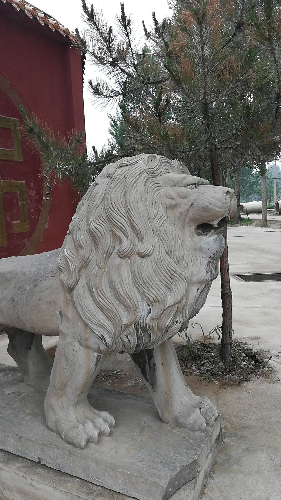 吉善寺旅行图片 1