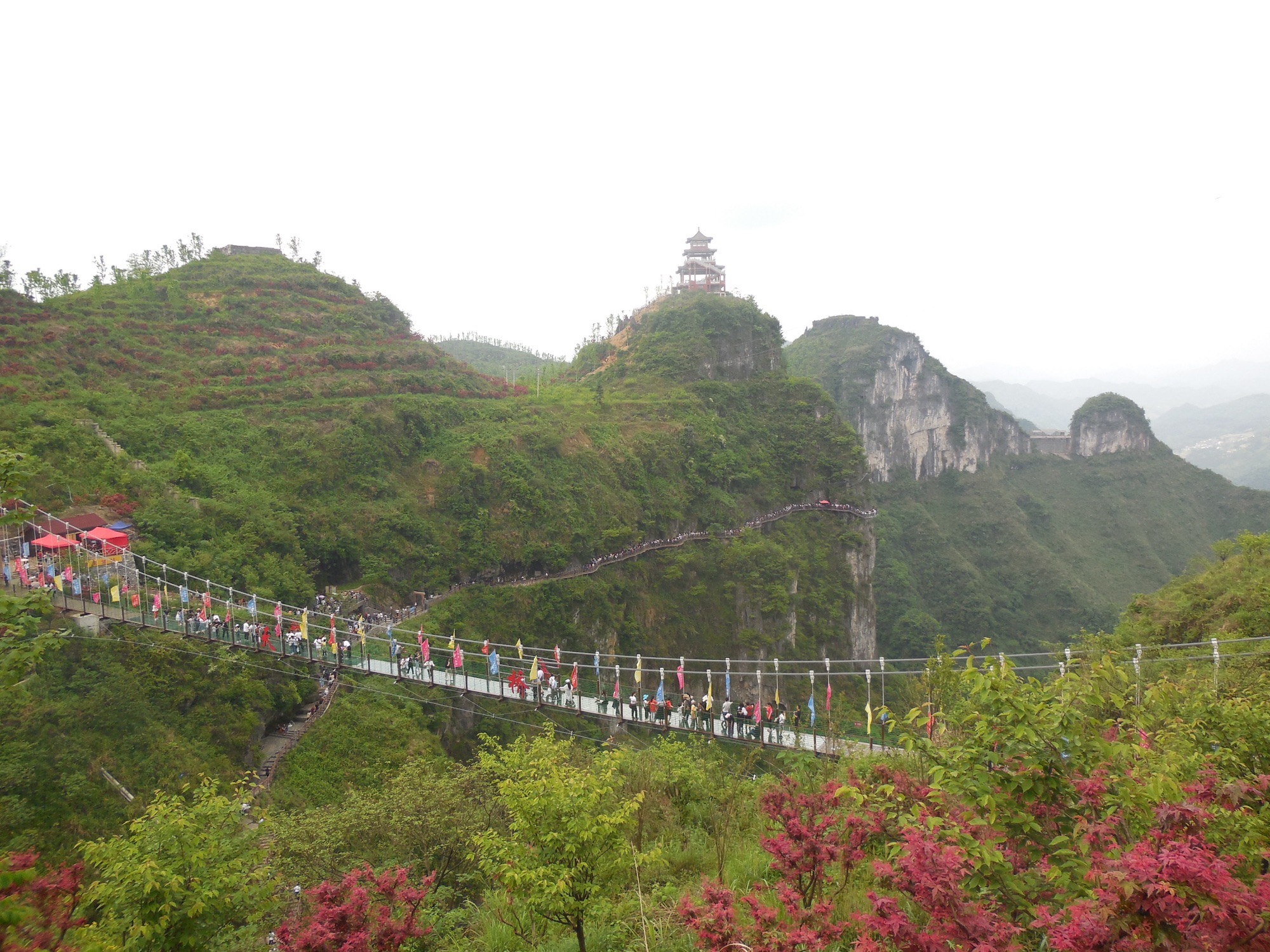 红豆仙霞景区旅行图片 3