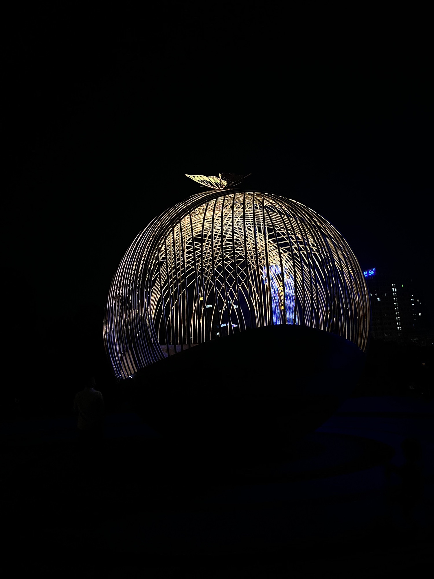 梅龙湖旅行图片 1