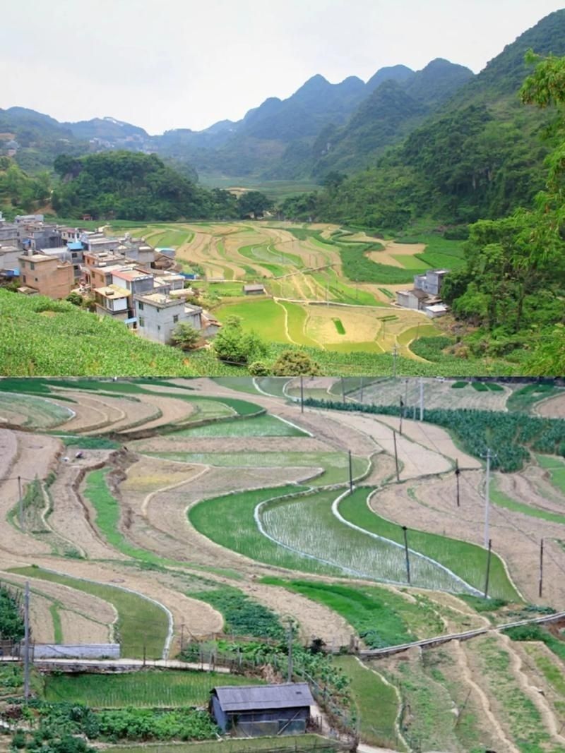 长寿村旅行图片 2