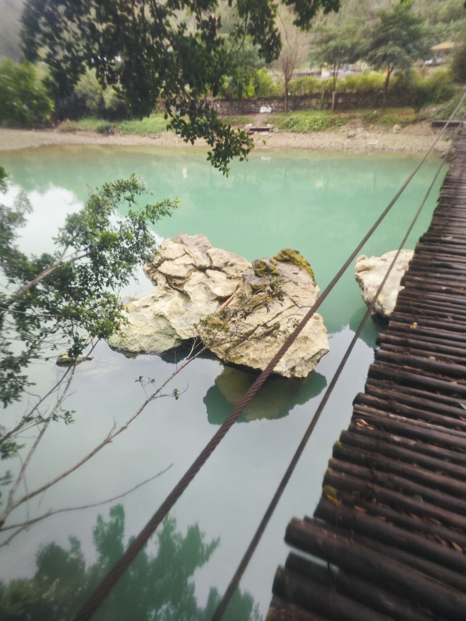 长寿村旅行图片 3