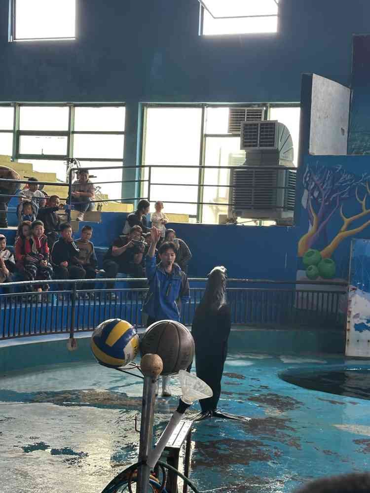 连云港海州湾海洋乐园旅行图片 2