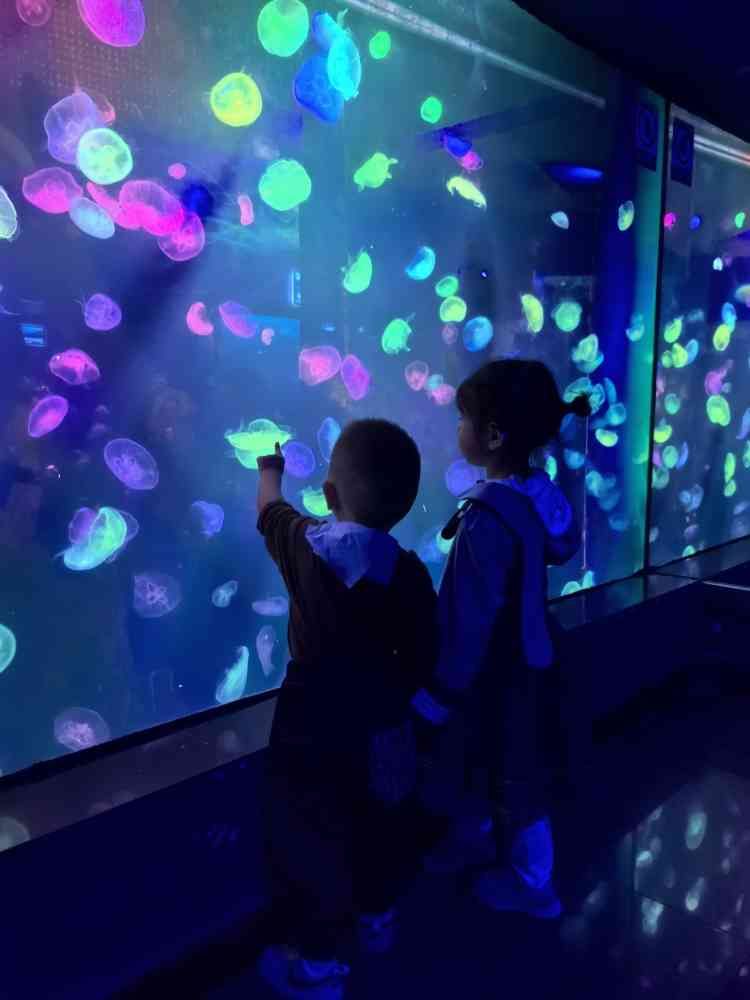 连云港海州湾海洋乐园旅行图片 3
