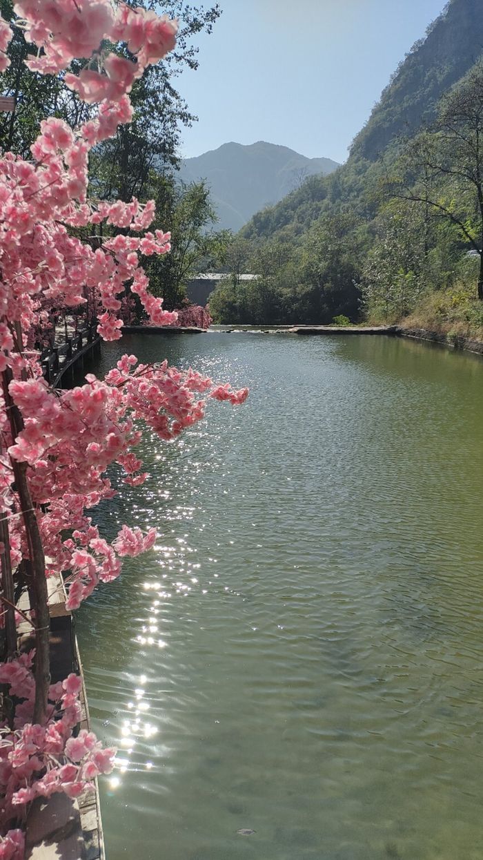 龙卧岩景区旅行图片 2