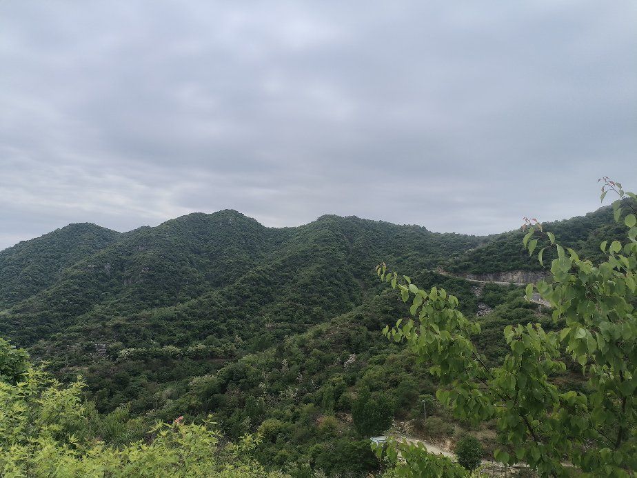 龙卧岩景区旅行图片 3