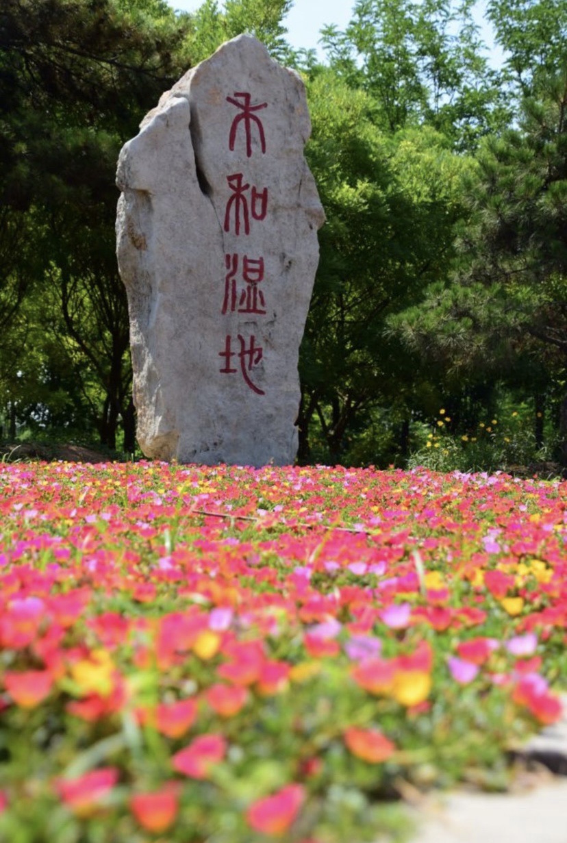 禾和湿地公园旅行图片 2