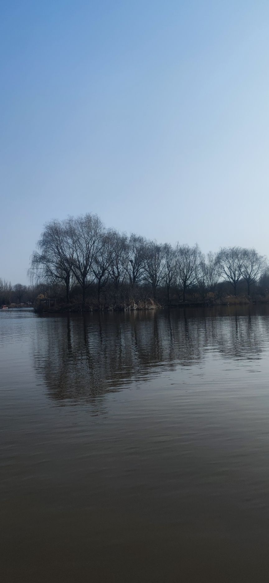 禾和湿地公园旅行图片 1